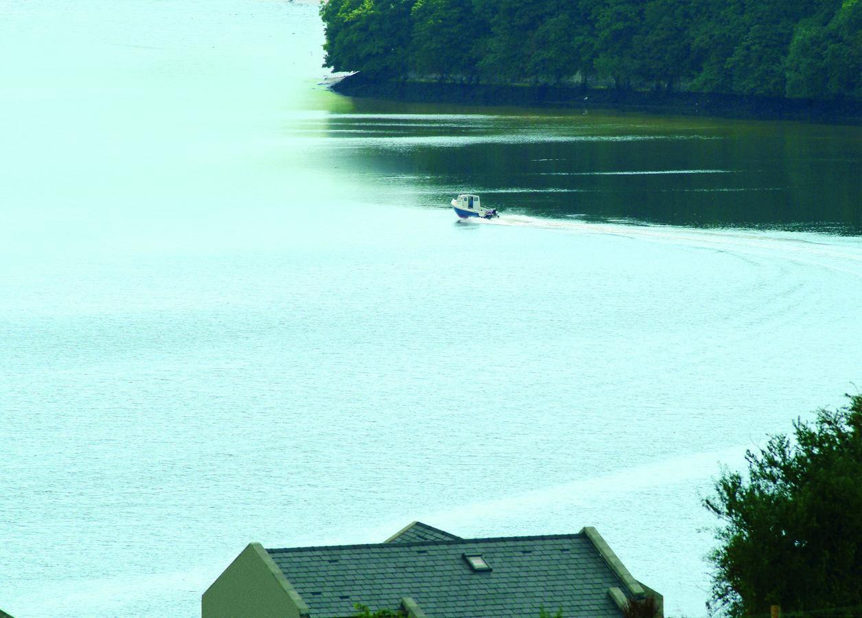 Castle Quay Villa Ballinadee Exterior foto